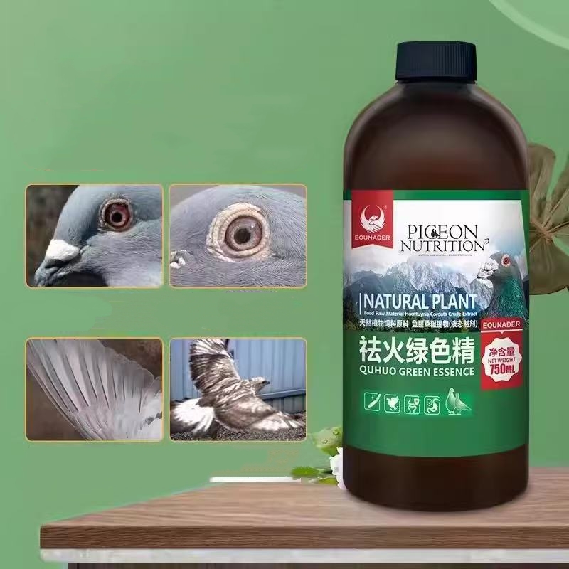 Vitamin D3 Reptile - อาหารเสริมเพิ่มความเย็นสำหรับนกพิราบ 500 มล. บรรเทาความร้อนในฤดูร้อน ช่วยย่อยอาหาร บรรเทาความเครียด