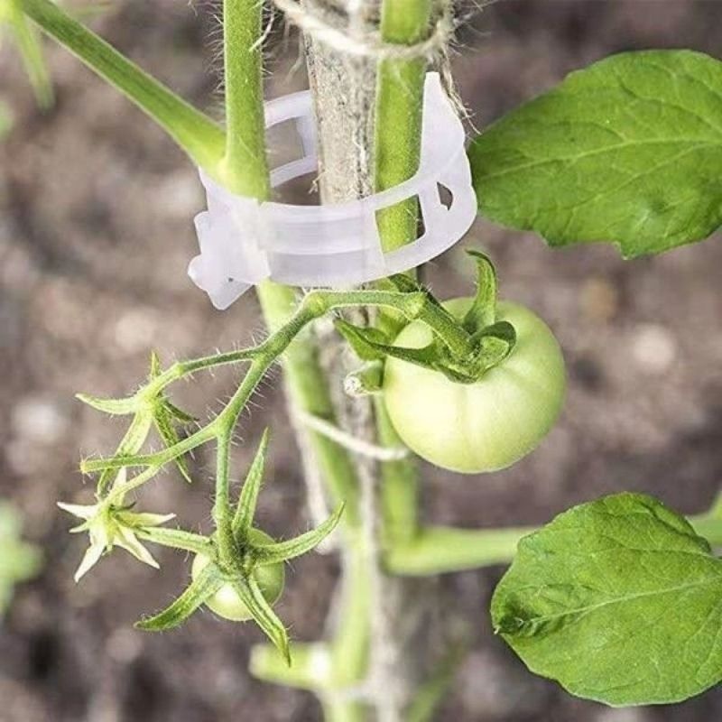 คลิปพลาสติกสำหรับยึดต้นไม้ ใช้ - Vine Climbing Plastic บทวิจารณ์และราคา