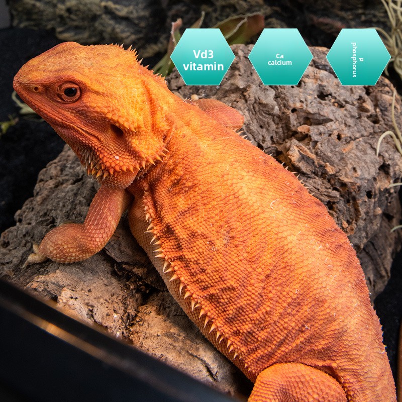 SuperRep Reptile Calcium Pro-ว - Vitamin D3 Reptile บทวิจารณ์และราคา